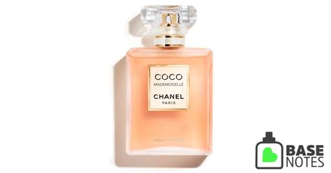 coco chanel coco basenotes|Chanel coco reviews.